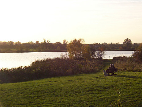 Seating at the main lake at Hinchingbrooke Country Park