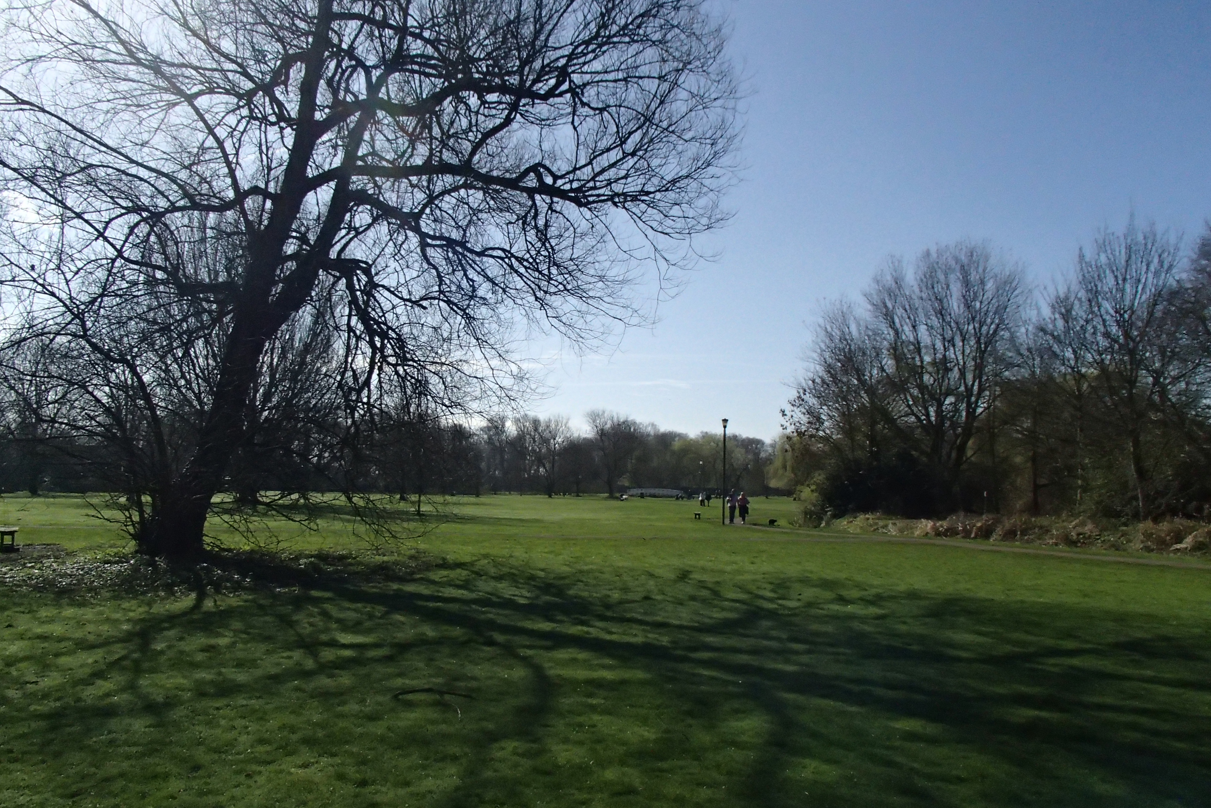 Riverside Park field