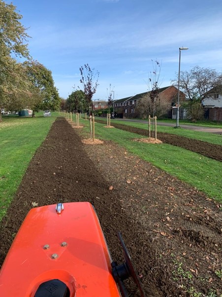 Newly prepared planting areas for bulbs and flowers alongside the corridor of 114 trees